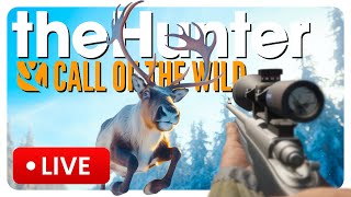 🔴 Call of the Wild stream CHRISTMAS REINDEER HUNT [upl. by Annoirb339]