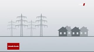 Aktuelle Stunde  Fake Ökostrom [upl. by Neroled567]