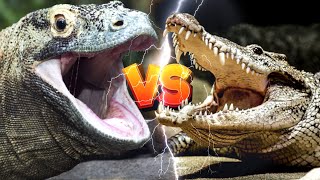 DRAGÃO de KOMODO vs CROCODILO   DESCUBRA quem VENCE [upl. by Ludie]