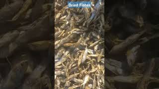 Dry Fishes for making Fish meal How Fish meal is made [upl. by Susej]