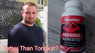 Fadogia Agrestis 1 Week Review  Fadogia Agrestis Review for Testosterone Strength and Aggression [upl. by Duster511]