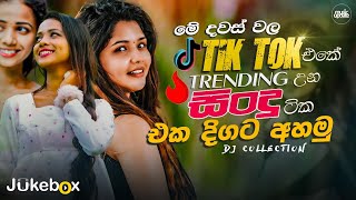 2024 TikTok Viral Songs ටික් ටොක් හිට් උන අලුත්ම ටික Best TikTok Trending Songs playlist 2024 [upl. by Follmer]