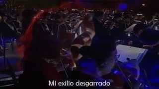 Metallica  The Outlaw Torn Sub Español [upl. by Ursas476]