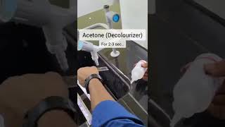 Gram staining procedure microbiology bacteria viralvideo trending [upl. by Etz291]