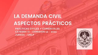 La demanda civil Aspectos prácticos [upl. by Fianna]