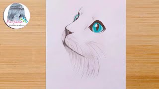 How to Draw a Simple Cat Face  Step By Step Tutorial [upl. by Topliffe951]