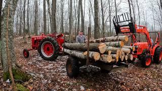 Farmall Super M Log Hauler amp Seniors Stories from the Woods  Memories of How it Used to be Done [upl. by Esenahs]