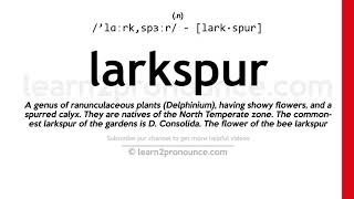 Pronunciation of Larkspur  Definition of Larkspur [upl. by Mitzl]