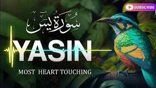 yaseen fast recitation  surah rahman most beautiful recitation  surah rahman relaxing recitation [upl. by Trina180]