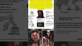 Cheddar Man is a male skeleton found in the Cheddar Gorge in Somerset South West England The skele [upl. by Josselyn]