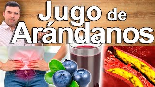 Jugo PODEROSO De Arándanos  Para Qué Sirven Las Bayas Fresas Frutillas Cranberry Blueberry [upl. by Steward]