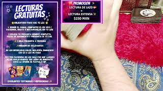 TAROT EN VIVO GRATUITAS Y PAYPAL [upl. by Ettigirb533]