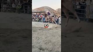 SILENCIOSO JR DE NAYARIT VS G63 cayó el Toro pero el jinete aguantó 14 reparo tradicion torobravo [upl. by Lasko]