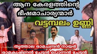 ആന കേരളത്തിലെ അഗ്രകണ്യൻമാർ തൃത്താല 🔥രാമചന്ദ്രൻ നായർ ഓണാക്കൂർ പൊന്നൻ കൊല്ലൻ രാമകൃഷ്ണൻ 🔥 [upl. by Ennovahc]