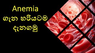 Hematology  Anemia Introduction💉👨‍🔬 MLS Masterclass 👩‍🎓 [upl. by Ialohcin]