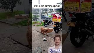 Firulais reciclador se vuelve viral [upl. by Ilrebma]