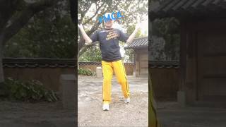 Grandpa’s YMCA challenge 80smusic shorts爺孫新ポーズymca dance [upl. by Nitsud222]