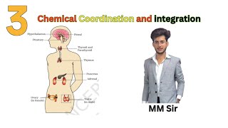 Chemical Coordination and Integration for Class 11th and NEET  Lecture 3 [upl. by Fishback]