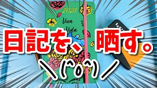 自分の日記を見せながら語ってくる動画 [upl. by Chace173]