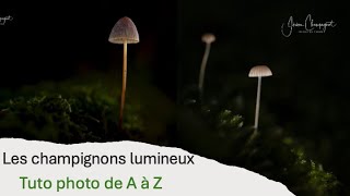 Tuto photo de A à Z  Les champignons lumineux [upl. by Navaj]