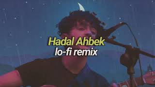 Issam Alnajjar  Hadal Ahbek Lofi Remix [upl. by Koziara]