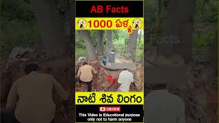 😲1000 ఏళ్ళ😲 1000 years old Siva lingam found in jungle telugufacts shorts youtubeshorts abfacts [upl. by Nylra]