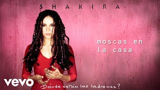 Shakira  Moscas en la Casa Letra Lyrics [upl. by Esinyt325]