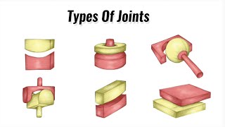 Types Of Joints in the Human Body  GCSE PE [upl. by Alram]