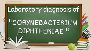 Corynebacterium Diphtheriae laboratory diagnosis [upl. by Aikkan]