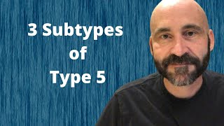 Enneagram Subtypes of Type 5 [upl. by Nasia]