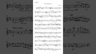 Massenet — Thaïs Meditation Solo Violin Excerpt violin meditation [upl. by Dylan]