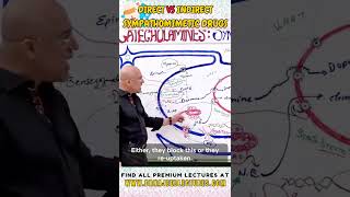 Direct vs indirect sympathomimetic drugs drnajeeb drnajeeblectures shortvideo youtubeshorts [upl. by Druce]