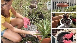 Cottage Living Planting An Herb Garden Container Gardening [upl. by Aelanej]