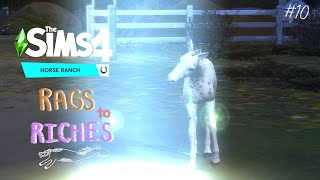 เรื่องลึกลับในบ้านฟาร์ม ‼️🌾 the sims 4 rags to riches horse ranch ep10 [upl. by Iborian]