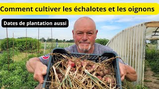 Comment cultiver les oignons et les échalotes au jardin [upl. by Boatwright]