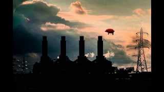 Pink Floyd  Pigs On The Wing  Live Full version with solo HD [upl. by Perkoff]