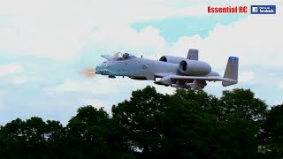 Freewing A10 THUNDERBOLT II EDF jet with added GAU8A Avenger cannon FIRE and BRRRTTT [upl. by Asille]