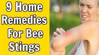 9 Home Remedies For Bee Stings [upl. by Bianchi]