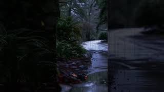 Relax and fall asleep quickly with the Sound of light Rain Long and Healthy sleep [upl. by Glover]