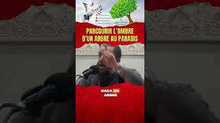 Parcourir lombre dun arbre au paradis  Rachid Haddach shorts youtubeshorts islam youtube [upl. by Amalbergas]