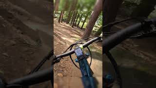 Ebike dirt jumps in the woods [upl. by Elocel]