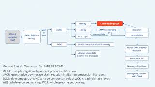 Diagnostic Algorithm for Spinal Muscular Atrophy SMA [upl. by Notxap]