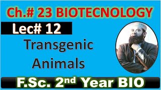 Transgenic animals I biotechnology I CH23 I Lec 12 I FSC Biology I Class 12 [upl. by Laehpar]