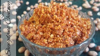 how to make shengdana chutney  shengdana chutneyphalli ki chutneypeanut chutneysolapuri chutney [upl. by Savill]