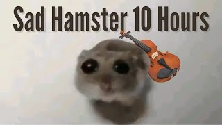 Sad Hamster Violin 10 Hours [upl. by Albin430]