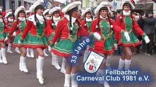 Jubiläumsumzug Fellbach 2014  33 Jahre Fellbacher Carneval Club 1981 eV [upl. by Eytak581]