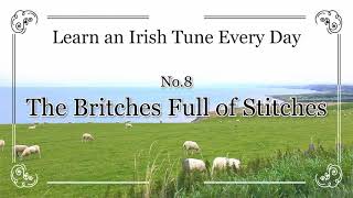 008 The Britches Full of Stitches Polka G Ionian Learn an Irish Tune Every Day [upl. by Helms967]