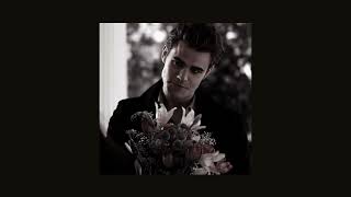 stefan salvatore playlist [upl. by Boeschen345]