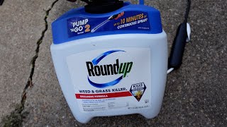 Roundup Weed amp Grass Killer Review  Does It Actually Work [upl. by Lennon928]