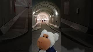 Heute nehme ich euch mit in den alten Elbtunnel in Hamburgfelix hamburg alterelbtunnel elbe [upl. by Echo]